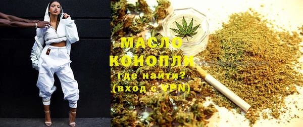 сатива Коряжма