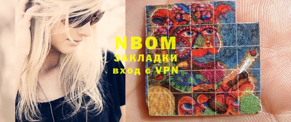 сатива Коряжма