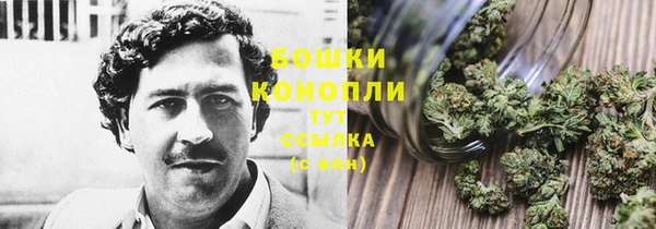 прущий лед Козельск