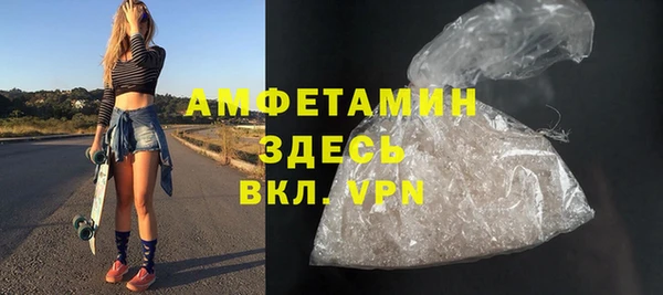 сатива Коряжма