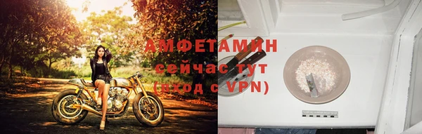 сатива Коряжма