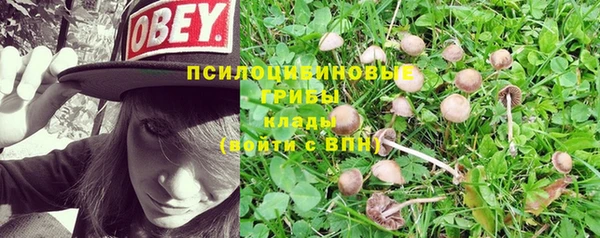 гидропоника Кодинск