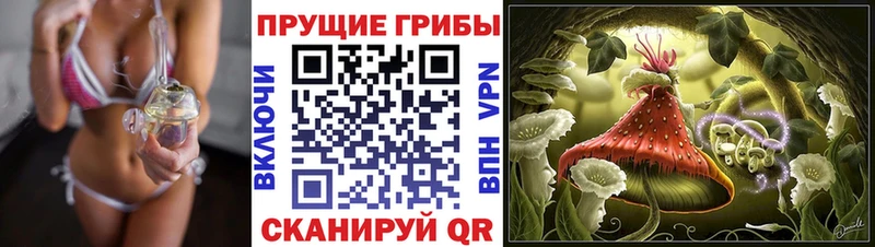 Псилоцибиновые грибы GOLDEN TEACHER  Ковдор 